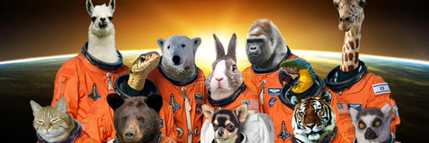 dieren in de ruimte