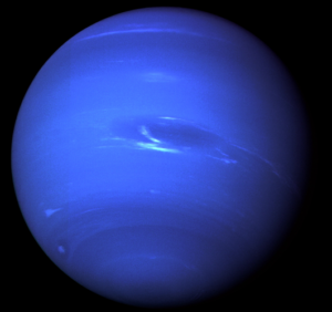 neptunus