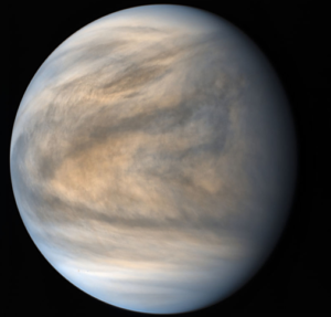 venus